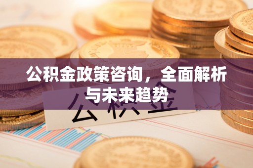 新平公积金政策咨询，全面解析与未来趋势